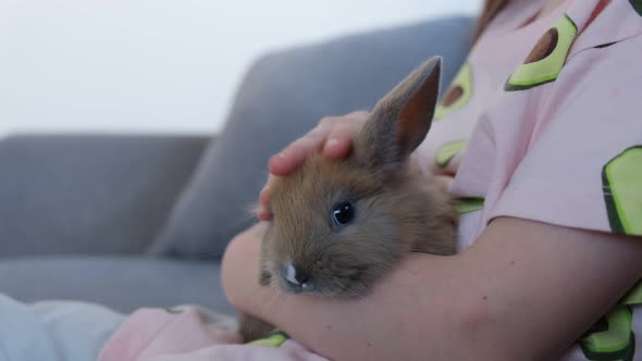 Little Girl Holding a Cute Rabbit