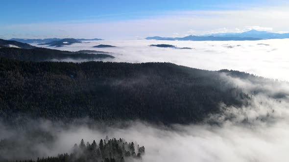 Beautiful Landscape Aerial View of Winter Carpathian Mountains Foggy Morning
