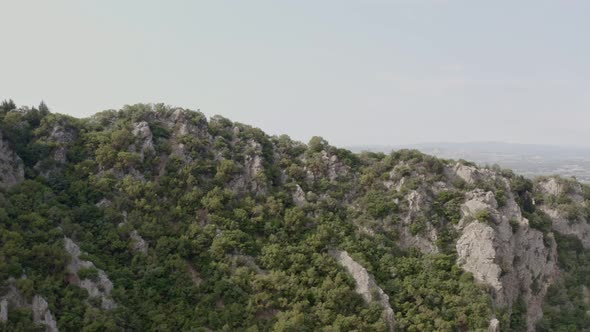 Rocky Forest Mountain