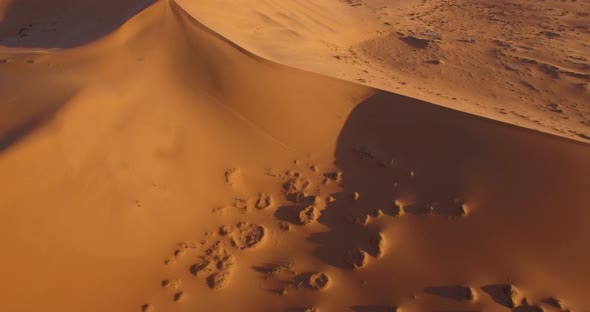 Amazing Windy Sand Dunes