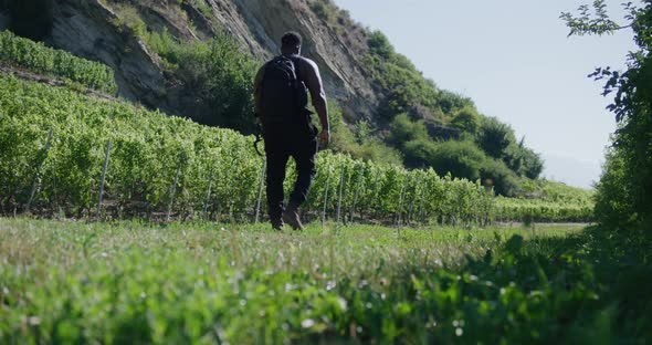 Black male traveler with backpack walking across green landscape of grape vines in Switzerland alt