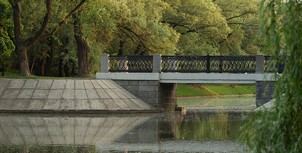 Bridge in Park