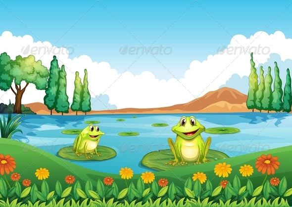 Two Playful Frogs In The Pond By Interactimages Graphicriver