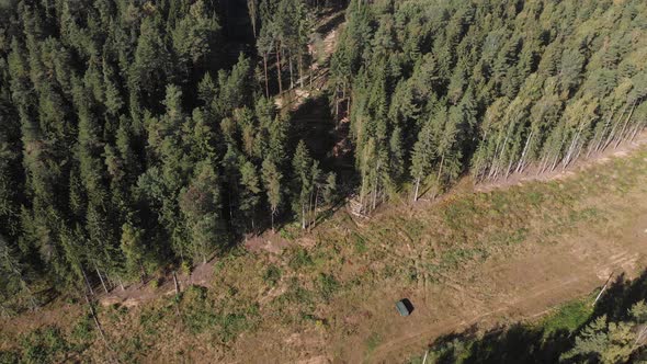 Car of Lumberjacks Enterprise Stands in Clearing Near Forest alt