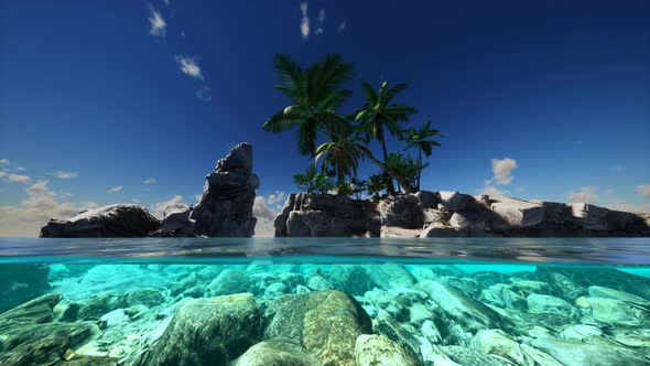 Split View Cross Section of Sea Water and Palm Trees on Island alt