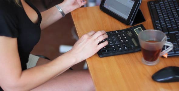 The Girl Working With Calculator alt
