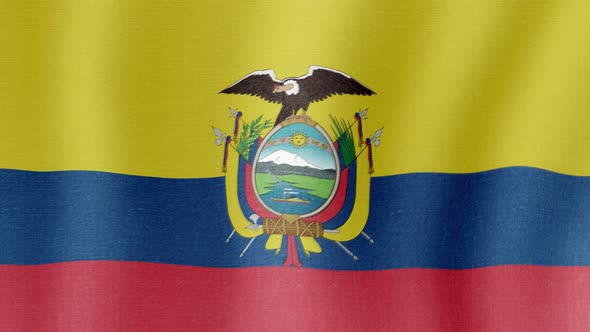 The National Flag of Ecuador