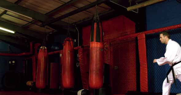 Man practicing karate alt