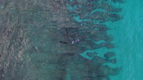 Underwater Fishing Aerial View alt