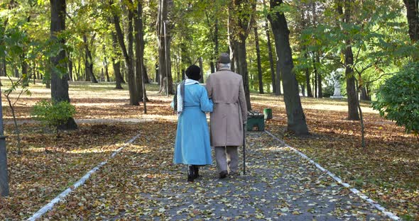 Beautiful Back View of Elegant Retired Family Couple Walking in the Autumn Park alt