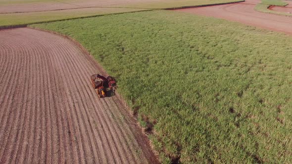 Sugar cane hasvest plantation with three machines view aerial alt