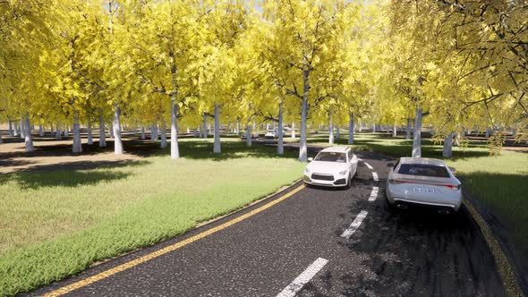 Car Traffic Yellow Autumn Forest Nature Road Landscape. Beautiful Fall Nature alt