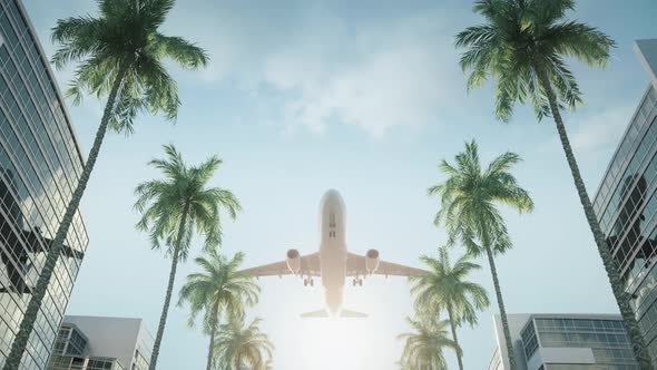 Airplane flying over city buildings. Palm trees on the street and glass facades reflections. alt