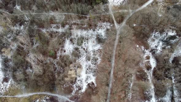 Fly above snowy winter park alleys pine bare trees