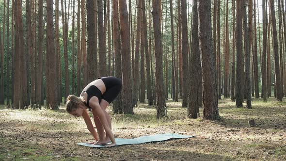 Flexible Fit Woman Practices Yoga Performs Surya Namaskar at Sunny Pine Forest alt