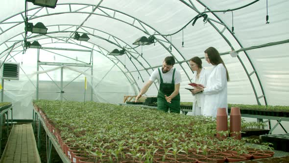 Farmer Showing Growing Crops To Scientists