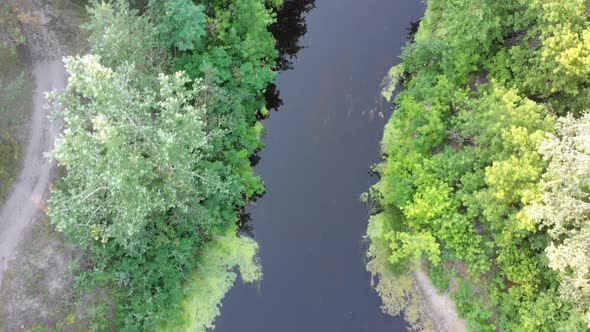 Aerial View of Riverbed Between Pine Forest. River Near Tops of Green Trees alt