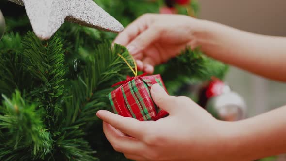 Young Asian woman holding small gift box decorate Christmas tree celebrates the new year.