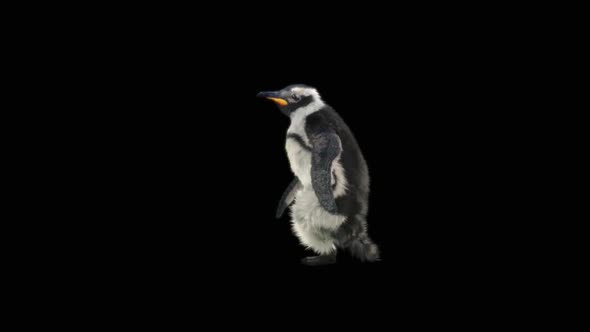 Penguin Dancing HD alt