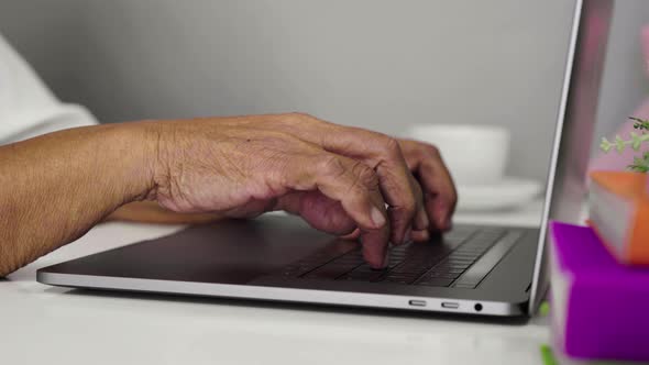 old female hands typing on the laptop keyboard