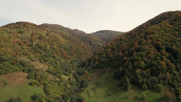 Aerial Autumn Forest at Mountain Range alt