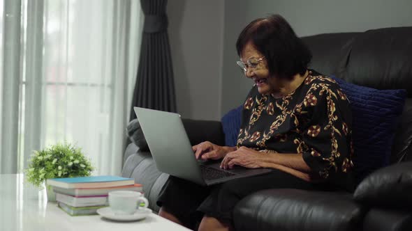 happy senior woman working on laptop computer in living room
