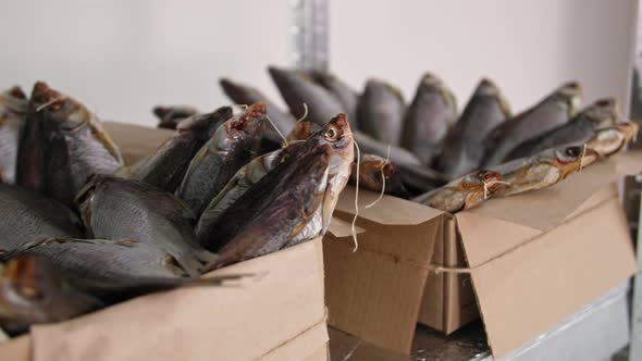 Fish Industry Boxes of Delicious Salted Fish on Warehouse Shelves Closeup alt