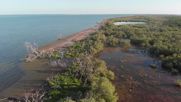 swamp marsh island coastline salt water forest florida keys tropical gulf of mexico usa aerial drone alt