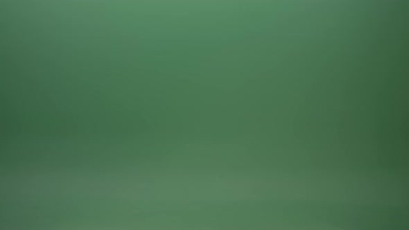 Great Flight Of Blue Bird Breed Of Pigeons Isolated On Green Screen alt