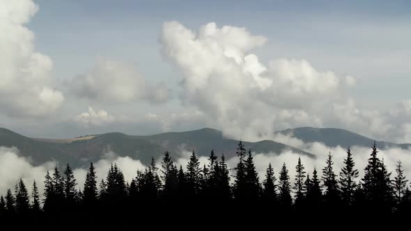 Time Lapse Fog Floating in Mountain Valley with Pine Forest Foreground