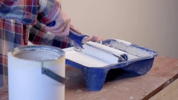 White Paint and Roller alt