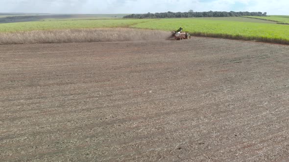 Closeup variety of shots showing harvesting machine cutting down ripe sugarcane crop ready to be tra alt
