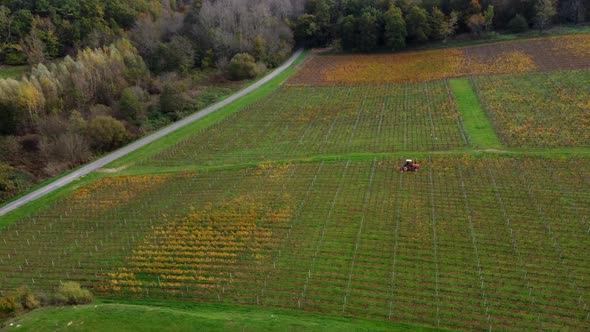 Aerial view bordeaux vineyard, landscape vineyard south west of france, europe autumn