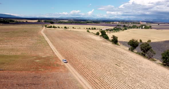 Aerial Shot of a Car Moving on Offroad with Lavender Near Valensole France