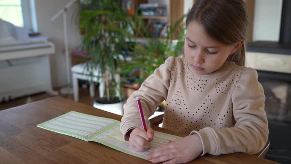 Little girl writing in excercise book, doing homework alt