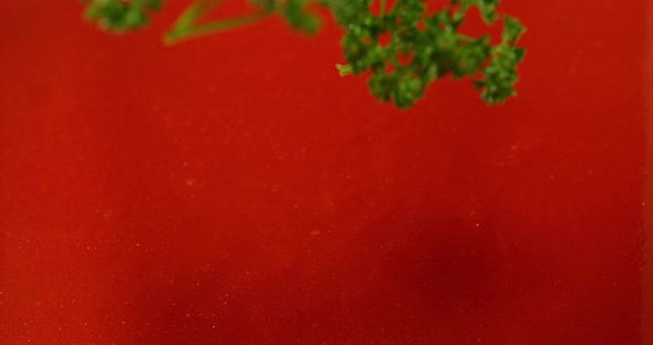 Parsley, Petroselinum crispum, falling into tomatoe's Juice, Slow Motion 4K alt
