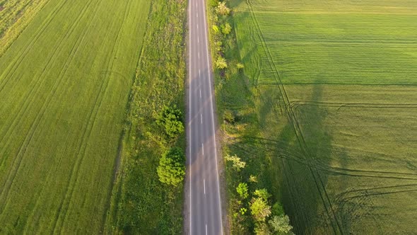 Aerial Shot of a Lengthy Highway Rushing Among Green Meadows in Summer in Slo-mo 
