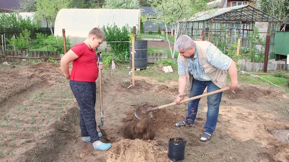 A Father and Son are Preparing a Pit with Humus or Compost for Planting a Tree alt