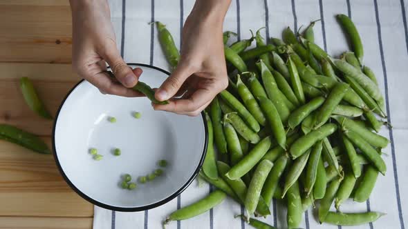 womans hands opening fresh ripe green pea bean
