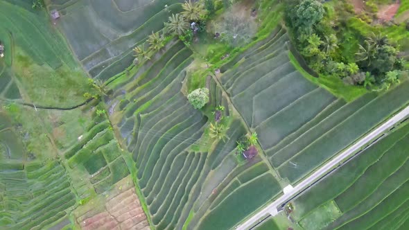 Jatiluwih Tabanan Bali Aerial View