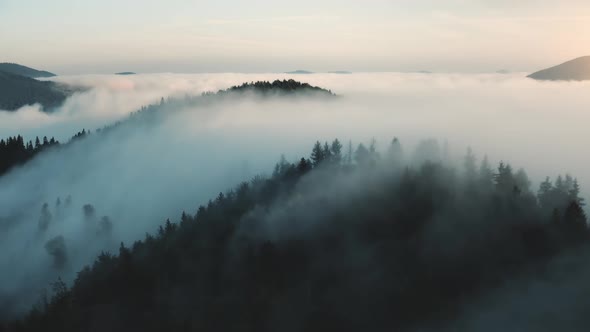 Morning Fog Landscape in Mountains