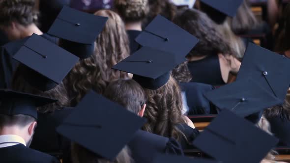 Back View of Graduating Students in Academic Caps, Diploma Awarding Ceremony alt