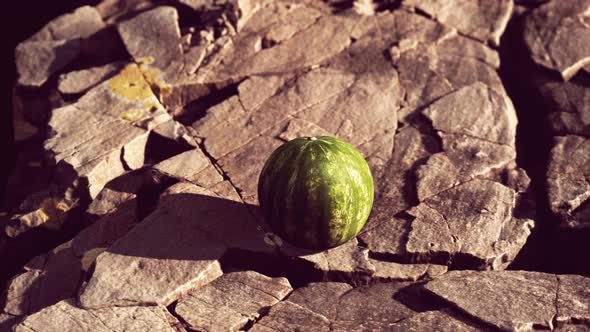 Watermelon Fruit Berry on Rocky Stones alt