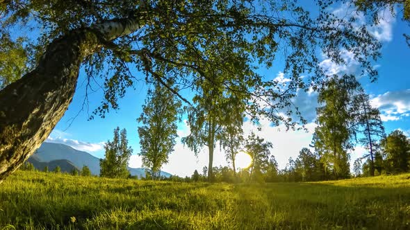 Mountain Meadow Time-lapse at the Summer or Autumn Time. Wild Nature and Rural Field. Motorised alt