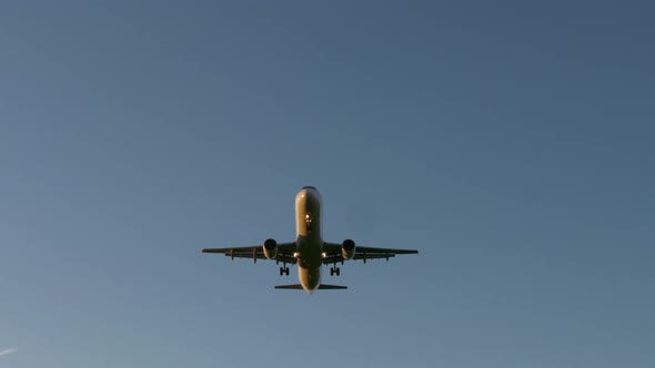 Aviation Travel Business Economy Aircraft Technology alt