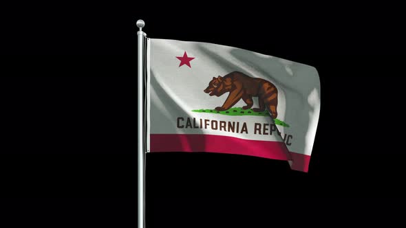 California Flag Big