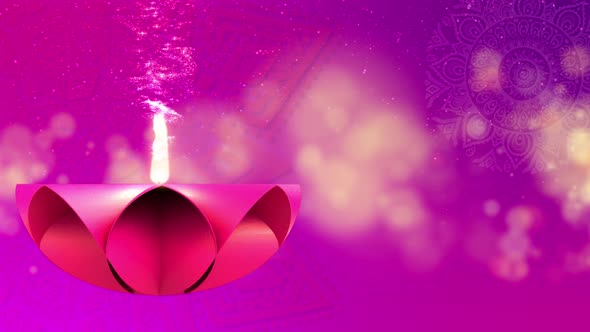 Diwali Festival of Light Cerebration 07