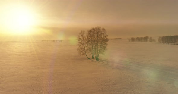 Aerial View of Cold Winter Landscape Arctic Field Trees Covered with Frost Snow Ice River and Sun alt