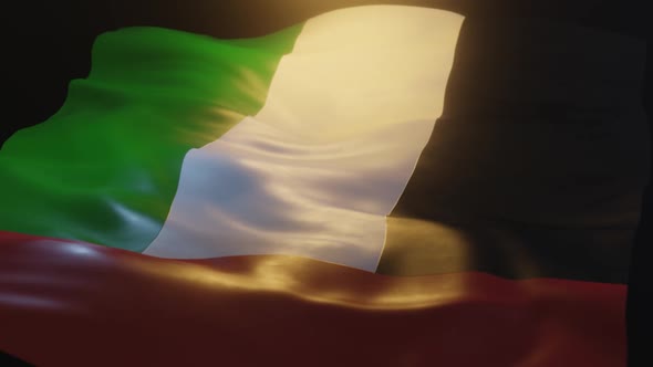 UAE Flag / United Arab Emirates Flag Low Angle View