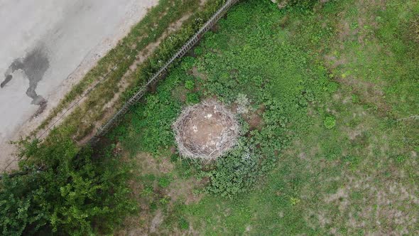 Aerial Birds-Eye View of a Birds Nest Next to a Road alt